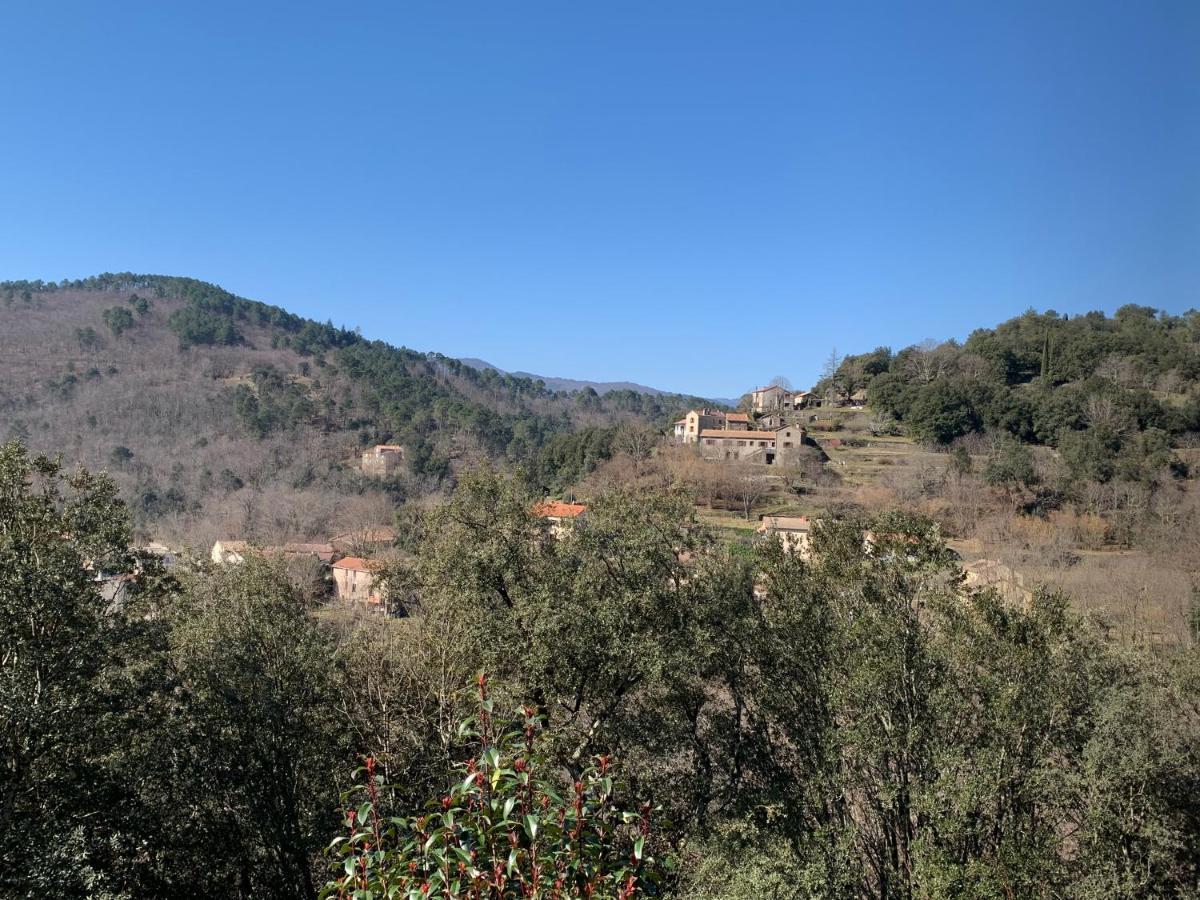 Villa Des Taillades Le Collet-de-Dèze 외부 사진